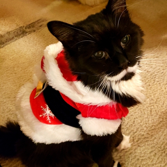 Meet your Posher, Janis - Picture 2 of 7